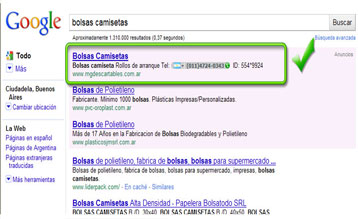 Posicionamiento Web en Google